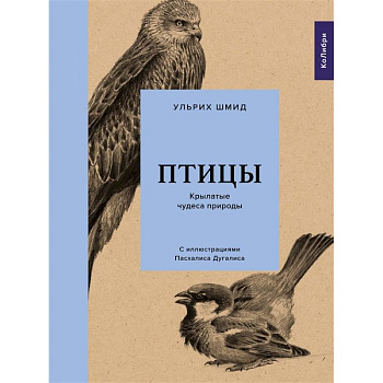 Птицы.Крылатые чудеса природы