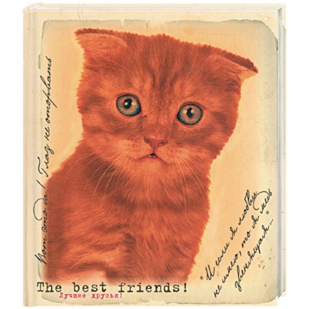 Книги, книга Лучшие друзья. Фотоальбом купить по скидке