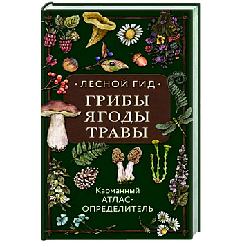 Лесной гид: грибы, ягоды, травы. Карманный атлас-определитель Лесной гид: грибы, ягоды, травы. Карманный атлас-определитель