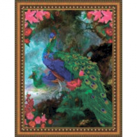 Биологические науки. Анатомия, книга «Светлица» набор для вышивания бисером №092 «Павлины» бисер Чехия 39x49,5 см купить по скидке