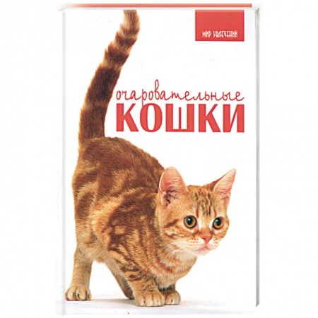 Книги, книга Очаровательные кошки купить по скидке