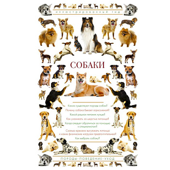 Собаки. Иллюстрированный гид Собаки. Иллюстрированный гид