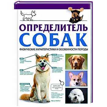 Определитель собак. Физические характеристики и особеннности породы Определитель собак. Физические характеристики и особеннности породы