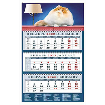 Календарь на 2023 год. Год кота. Пушистый красавчик