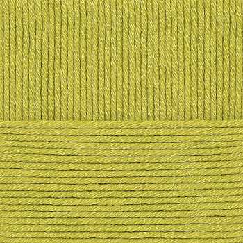 Зимняя премьера. Цвет 342-Св.горох. 10x100 г.