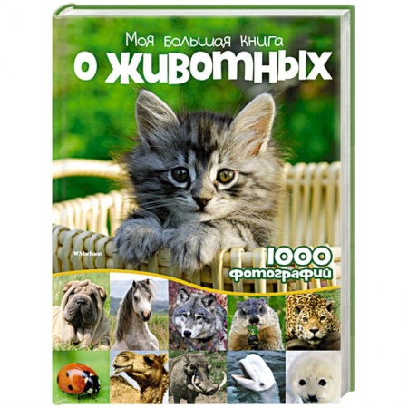 Книги, книга Моя большая книга о животных.1000 фотографий купить по скидке