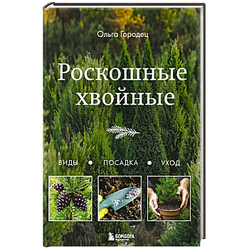 Роскошные хвойные. Виды, посадка, уход Роскошные хвойные. Виды, посадка, уход