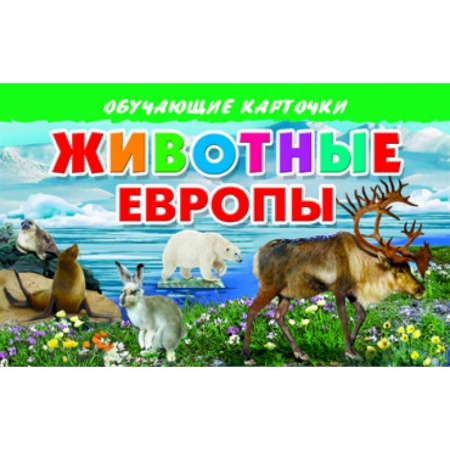 Книги, книга Карточки. Животные Европы купить по скидке