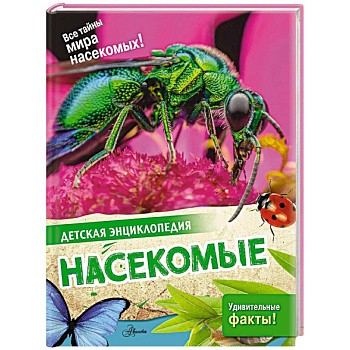 Насекомые Насекомые