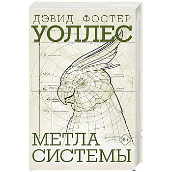 Метла системы Метла системы