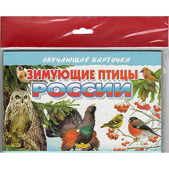 Зимующие птицы России Зимующие птицы России