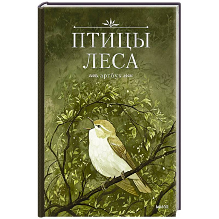 Животные. Насекомые. Птицы, книга Птицы леса. Артбук купить по скидке