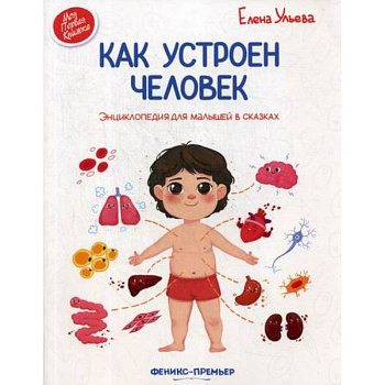 Как устроен человек