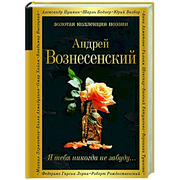 Я тебя никогда не забуду... Я тебя никогда не забуду...