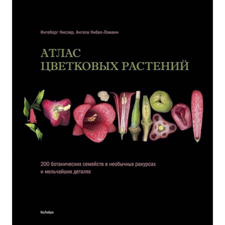 Ботаника, книга Атлас цветковых растений. 200 ботанических семейств в необычных ракурсах и мельчайших деталях купить по скидке