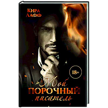 Мой порочный писатель